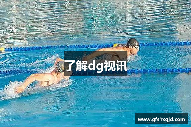 了解dg视讯